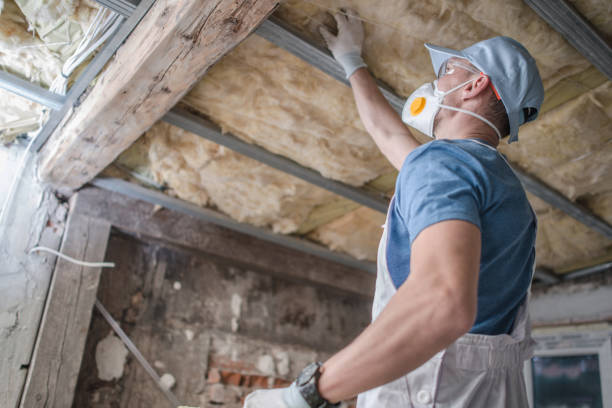 Best Fiberglass Insulation in George, IA